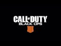 Call Of Duty Black Ops4: Boogaloo