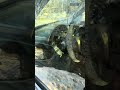 POV: random spots the van #cars #honda #sleeper #racecar #project