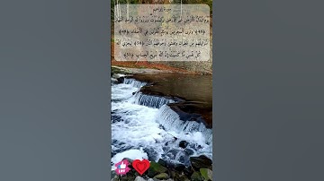 وترى المجرمين يومئذ مقرنين في الأصفاد | سورة إبراهيم #دعاء_ورسالة
