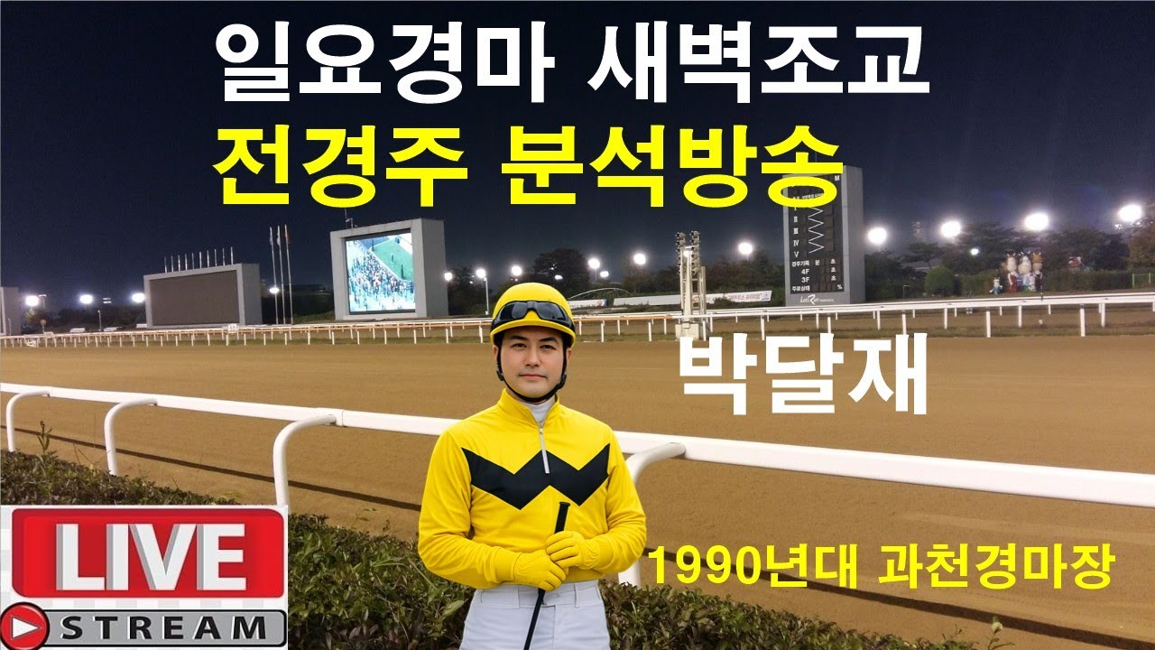 3월8일 일요경마 새벽조교 정밀분석 경마예상 추천마번 복병마  온종일 라이브 방송 서울경마 부경경마 제주경마 경주분석 추천마번 예상방송 박달재