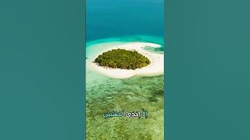 سورة التوبة و،.كا.،نك تسمعها لأ،؛و.ل مر.ة💙💟،؛🌷💔؛،💗💜..💖بصوت الشيخ حمزة مدبو.ح 🌼💞💐..🌹🌸،.❤️💓