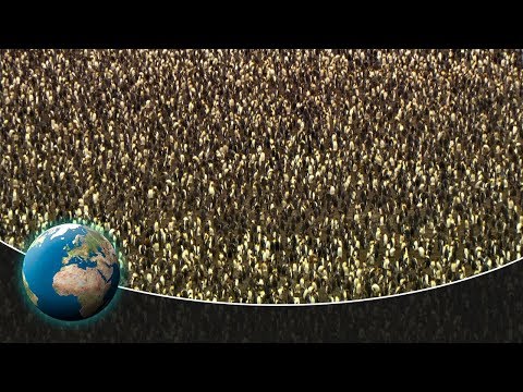 All About Penguins for Kids: Penguins of the World for Children - FreeSchool