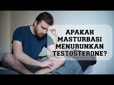 Apakah Masturbasi atau C*li Membuat Testosterone Turun? Otot Menyusut? By Brodibalo