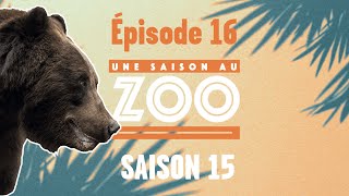 L’impressionnant training des grizzlys (S15E16) [INTEGRAL]