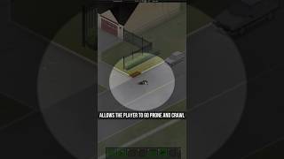 True Crawl - B42 - Project Zomboid Mods #zomboid #projectzomboid #mod #mods