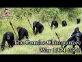 What does the Gombe Chimpanzee War say about our past? | The Gombe Chimpanzee War 1974-1978