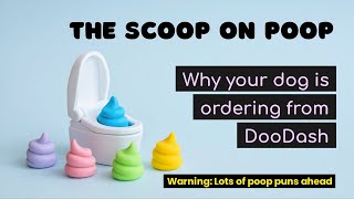 The Scoop on Poop: Why Dogs Eat Poop (Coprophagia) by FurLife 639 views 4 months ago 4 minutes, 49 seconds
