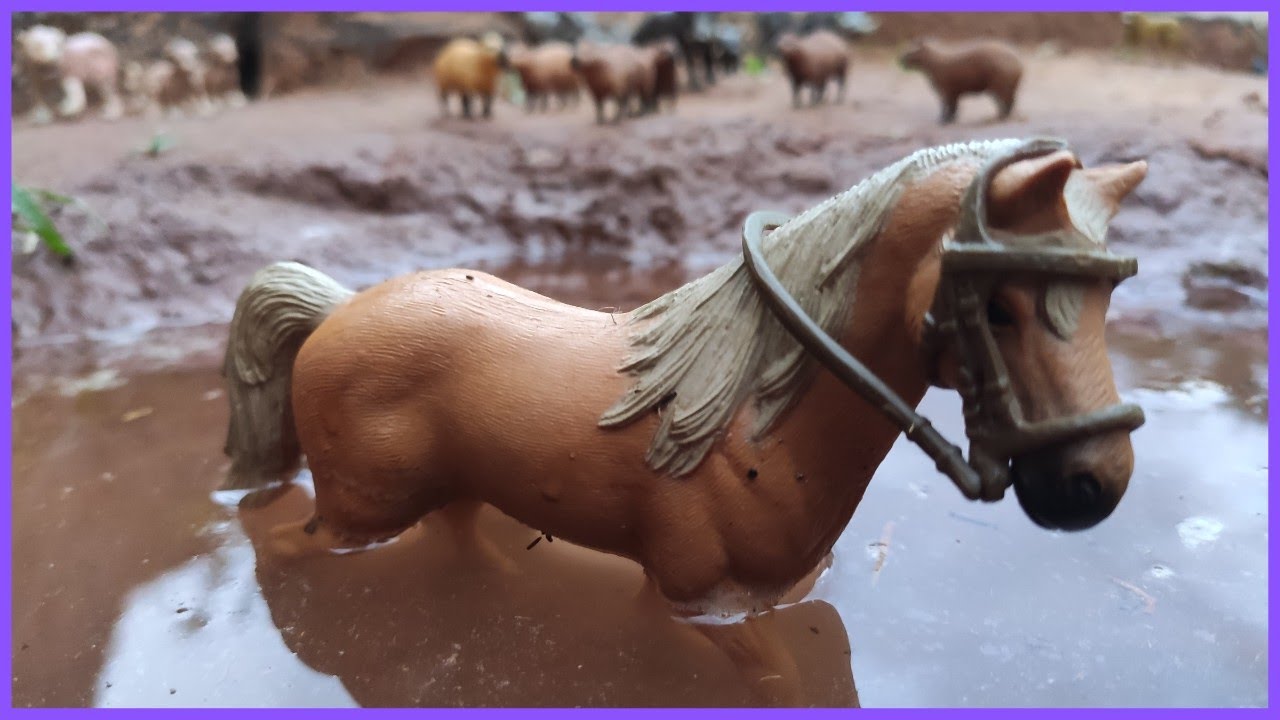 O FAÍSCA SE ASSUSTOU E FUGIU