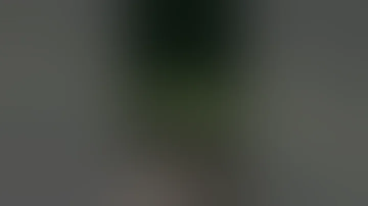 Paranormal Duck etc