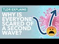 COVID Second Wave: Why Everyone Wants To Stop It - TLDR News