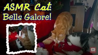 ASMR Cat: Christmas Tree & Bells Galore (no talking) (jingles, purring, playing) by ASMR Cat Sounds 383 views 7 years ago 18 minutes