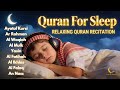 Quran Recitation in A Relaxing Voice I Alfatiha, Ayat Kursi, Ya-Sin, Ar-Rahman, Al-Waqiah