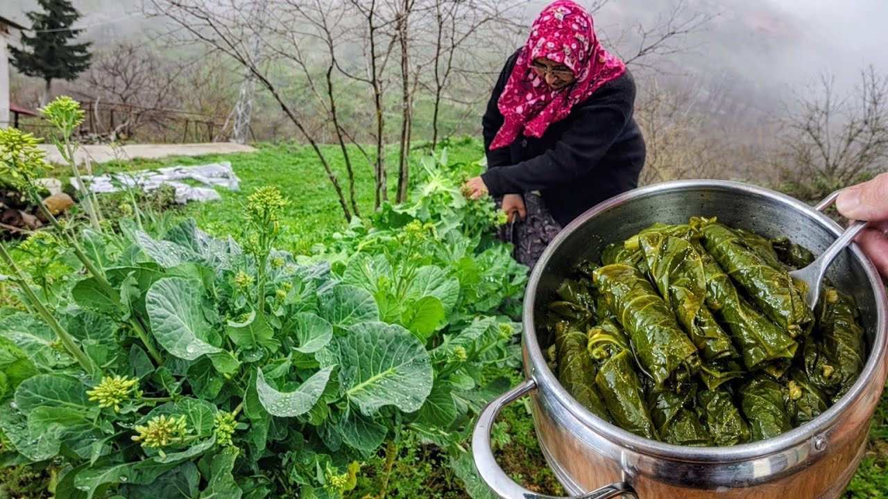 🥬 Köy Usulü Karalahana Sarması! Lezzeti Efsane 🥬 Köy Usulü Karalahana Sarması! Lezzeti Efsane