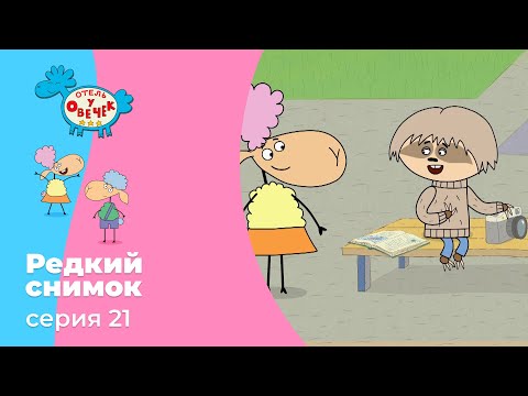Отель у овечек | Серия 21 — Редкий снимок | Мультфильмы для детей