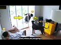 BTS with animals (Cute moments)