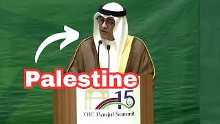 OIC Concerns on Palestine Aggression