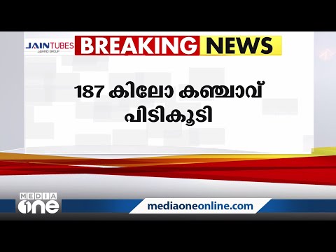 തിരുവനന്തപുരം കാട്ടാക്കടയിൽ 187 കിലോ കഞ്ചാവ് പിടികൂടി | Cannabis |