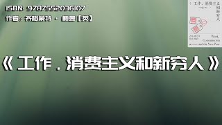 《工作、消费主义和新穷人》消费主义下的贫穷迷思