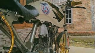 STORY WA TIGER BEAR BRAND