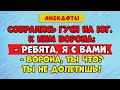 Анекдот. Собралась стая гусей на зимовку, на юг.. Подборка анекдотов для хорошего настроения!