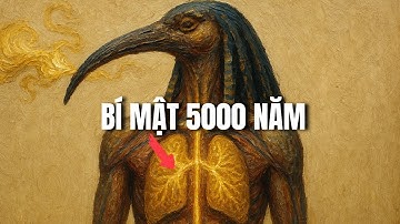 Bí Mật 5000 Năm Bị Che Dấu: Kỹ Thuật Hít Thở Của Thoth Giúp Chữa Lành Tức Thì