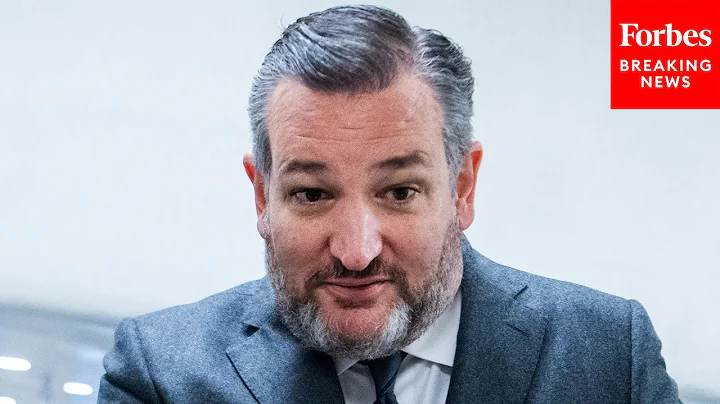 'Where Does This Come From?': Stephen Breyer Presses FEC Attorney About Case Against Ted Cruz