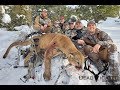 Utah Archery Mountain Lion Hunt 2018 - GIANT TOM!