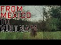 From Mexico to Vietnam, a Chicano Story (2022) Official Trailer