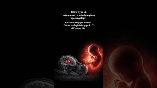 Anne Rahmindeki Mucize: Bilim ve Kur’an #bilim #kuran