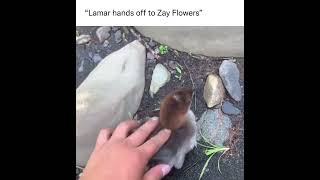 Lamar + Flowers hahahaha I had flowers on my fantasy and I still lost 😭😭😭😭 lol