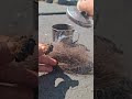 Solar lighter #firemaking #survival #solarfire