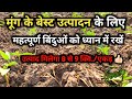 How to get more production of mung cropmung ka acha utpadanmung ka adhik utpadanmung farming