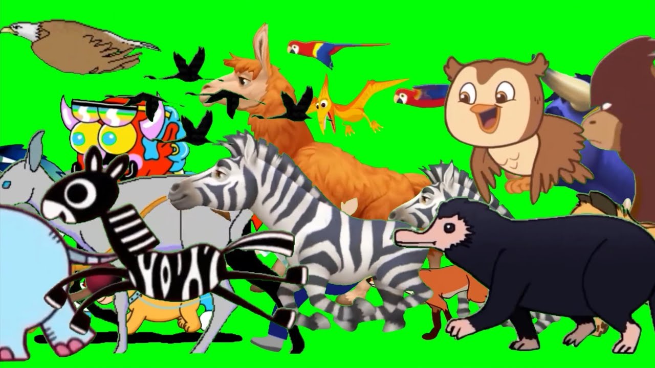 Animals green screen running | Animals zoo stampede  | Green screen running animals | Animals video