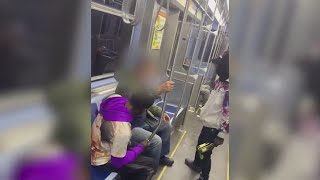 CTA announces new safety, security measures days after man attacked on Red Line Net Worth