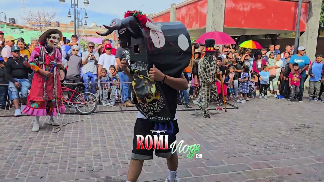 Danza Del Torito De Romita Guanajuato " El Alazan " 