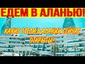 ЕДЕМ В АЛАНЬЮ! КАКИЕ ОТЕЛИ В АЛАНИИ СЕЙЧАС ОТКРЫТЫ?