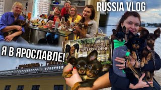Я в Ярославле! В гостях у заводчиков собак породы Русский Той/День 8/RUSSIA VLOG