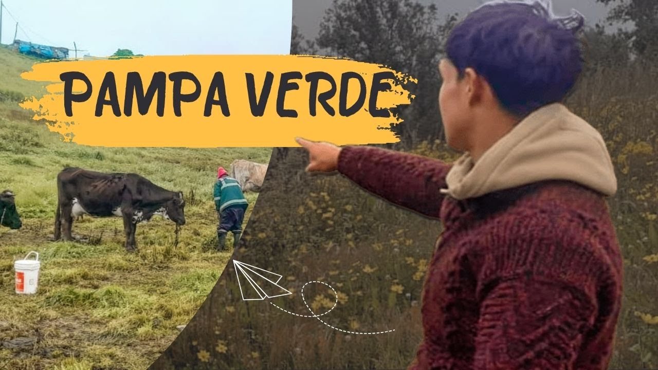 ASI ES LA VIDA EN EL CAMPO // CAJAMARCA PERU (PAMPA VERDE)