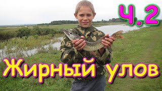 Рыбалка на р.Куда. Наловили рыбы. 2 день. (08.20г.) Семья Бровченко.