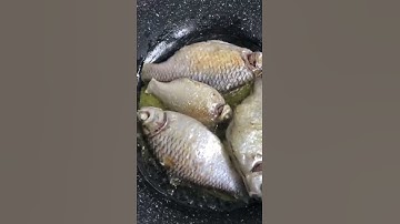 Cách chiên cá không bị dính chảo