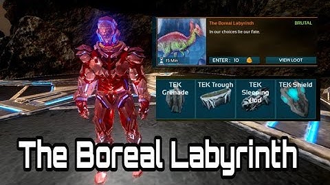 Ark Mobile - Dungeon - ( The Boreal Labyrinth ) | Hero Gaming YT