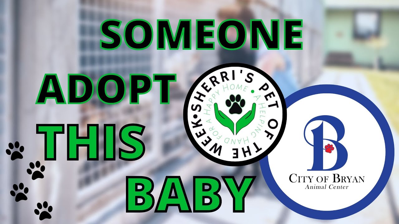 Pet of the Week: Bill❤