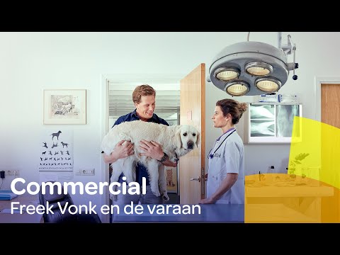 Video: Verzekeringsmaatschappijen 