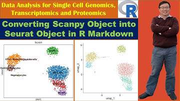 Converting Scanpy Object into Seurat Object in R Markdown