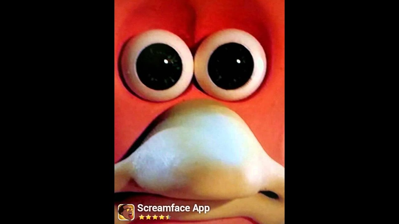 Free Hen Sad chicken run ginger YouTube