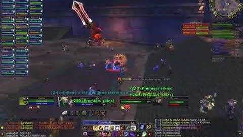 Twin Emperors AQ40 Fight (Vanilla WoW / Classic WoW)