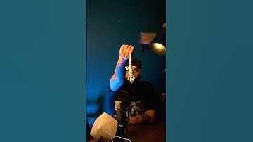 گکو راحت ترین لیزار برای نگهداری 😍 #پایتون #podcast #مار #snake #حیوان_خانگی #python #animals #r