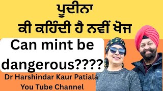 535 - New research on mint!! Benefits and side effects!! ਪੂਦੀਨੇ ਤੋਂ ਫ਼ਾਇਦਾ ਕਿਵੇਂ ਲਈਏ !!!