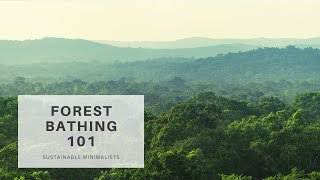 Forest Bathing 101