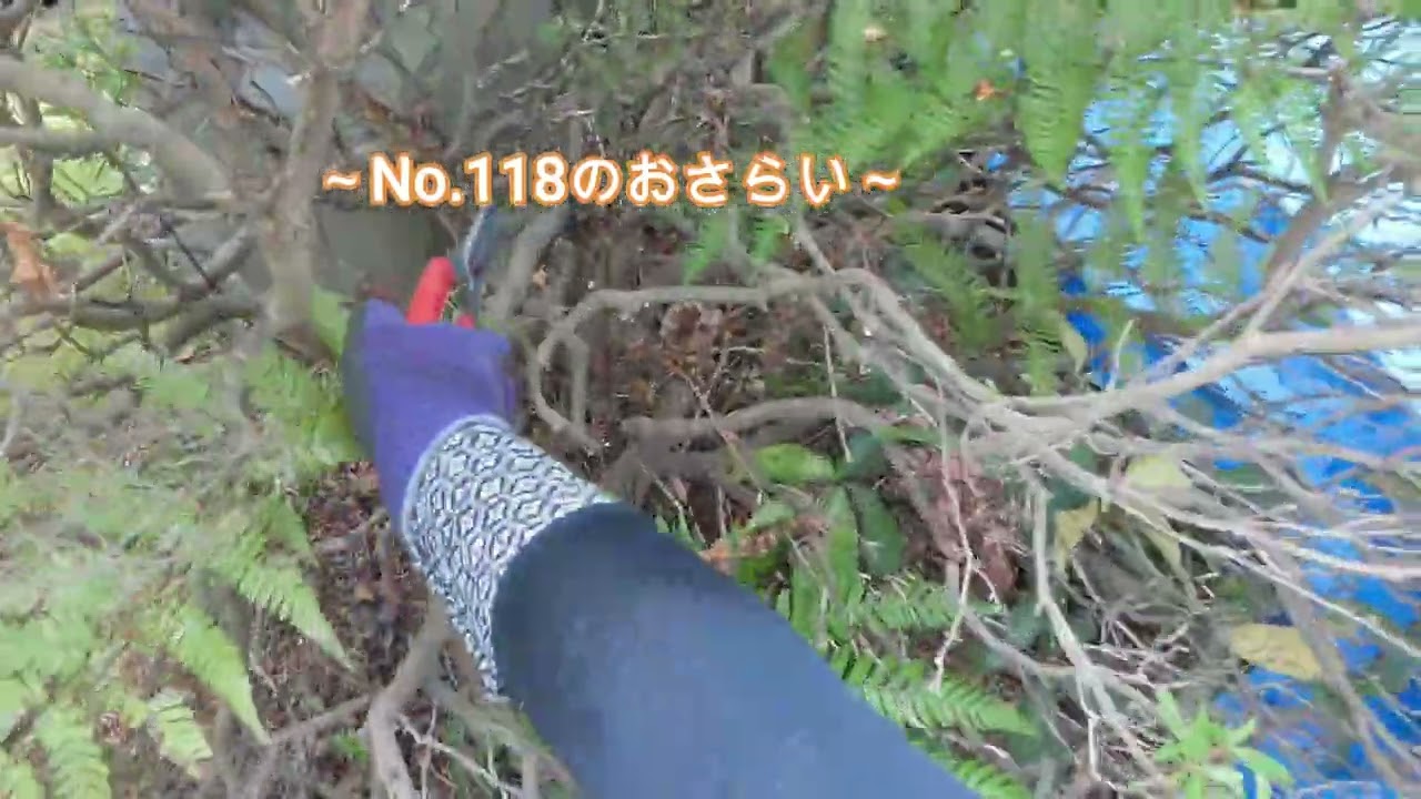 No.150_ What happened to Satsuki No.118? - YouTube
